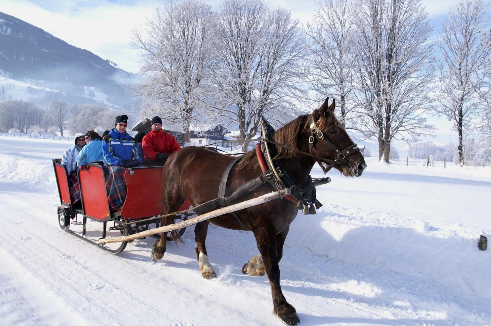 Hotel Gasthof Kroell - Inkl Nationalpark-Karte, 1 X Grossglockner Hochalpenstrasse Kostenlos, 1X Gerlos Alpenstrasse Kostenlos, Krimmler Wasserfaelle Kostenlos, Verschiedene Bergbahnen Kostenlos, Badesee Kostenlos, Bus & Zug Kostenlos, Genusskueche, Niedernsill Bagian luar foto