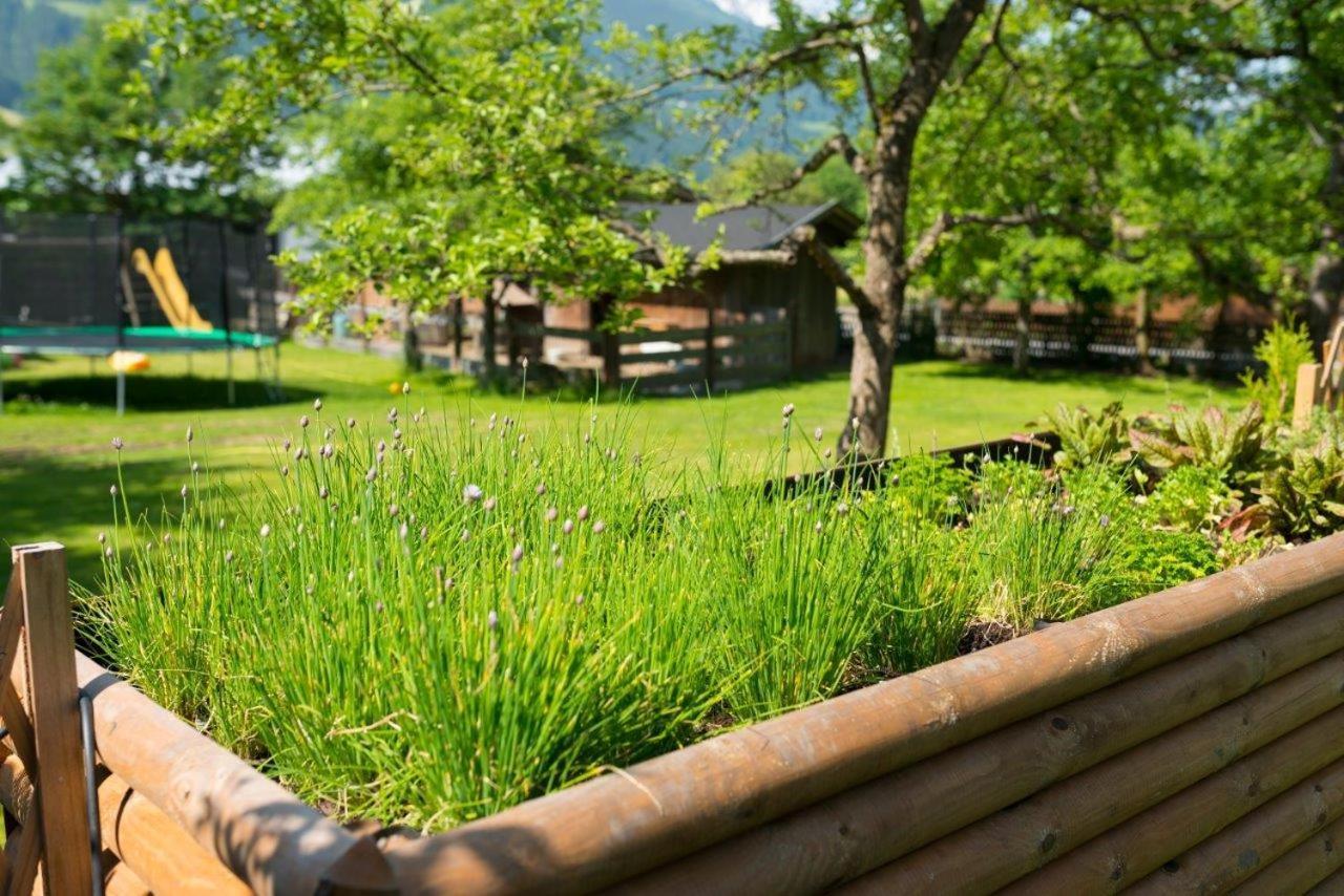 Hotel Gasthof Kroell - Inkl Nationalpark-Karte, 1 X Grossglockner Hochalpenstrasse Kostenlos, 1X Gerlos Alpenstrasse Kostenlos, Krimmler Wasserfaelle Kostenlos, Verschiedene Bergbahnen Kostenlos, Badesee Kostenlos, Bus & Zug Kostenlos, Genusskueche, Niedernsill Bagian luar foto